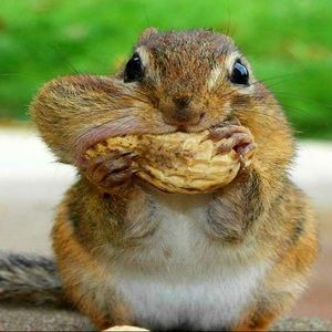 Meet your Posher, Bennett